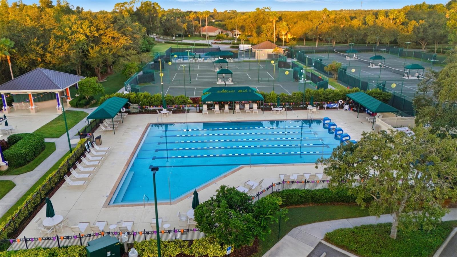 10145 DEERCLIFF DR, TAMPA, FL, 33647