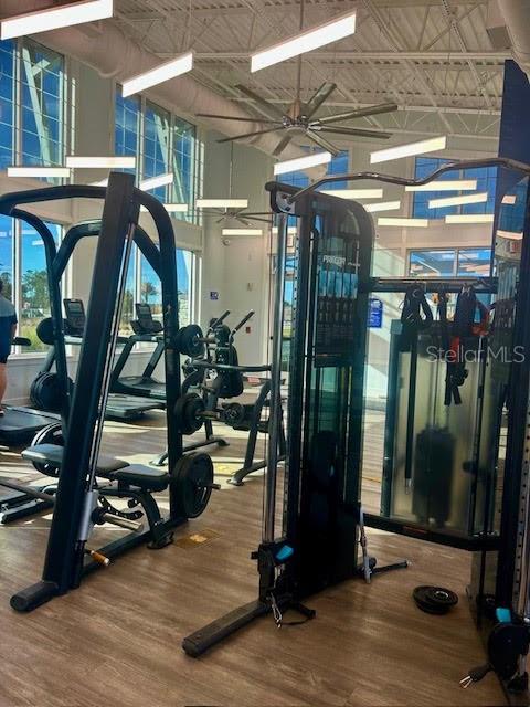 11942 DUNE ALY, ORLANDO, FL, 32832