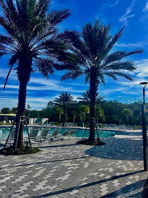 11942 DUNE ALY, ORLANDO, FL, 32832