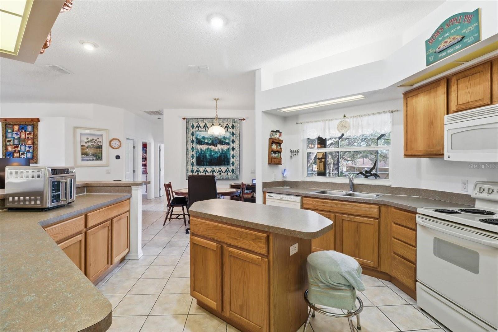 63 N YOUNGTREE PT, LECANTO, FL, 34461