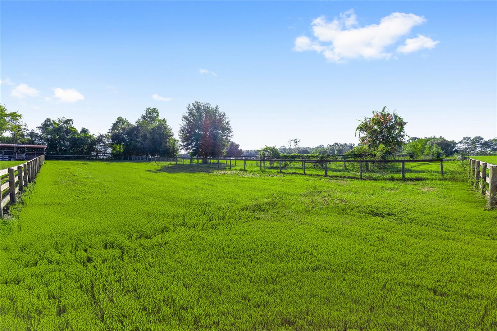 15269 NE 15TH CT, CITRA, FL, 32113