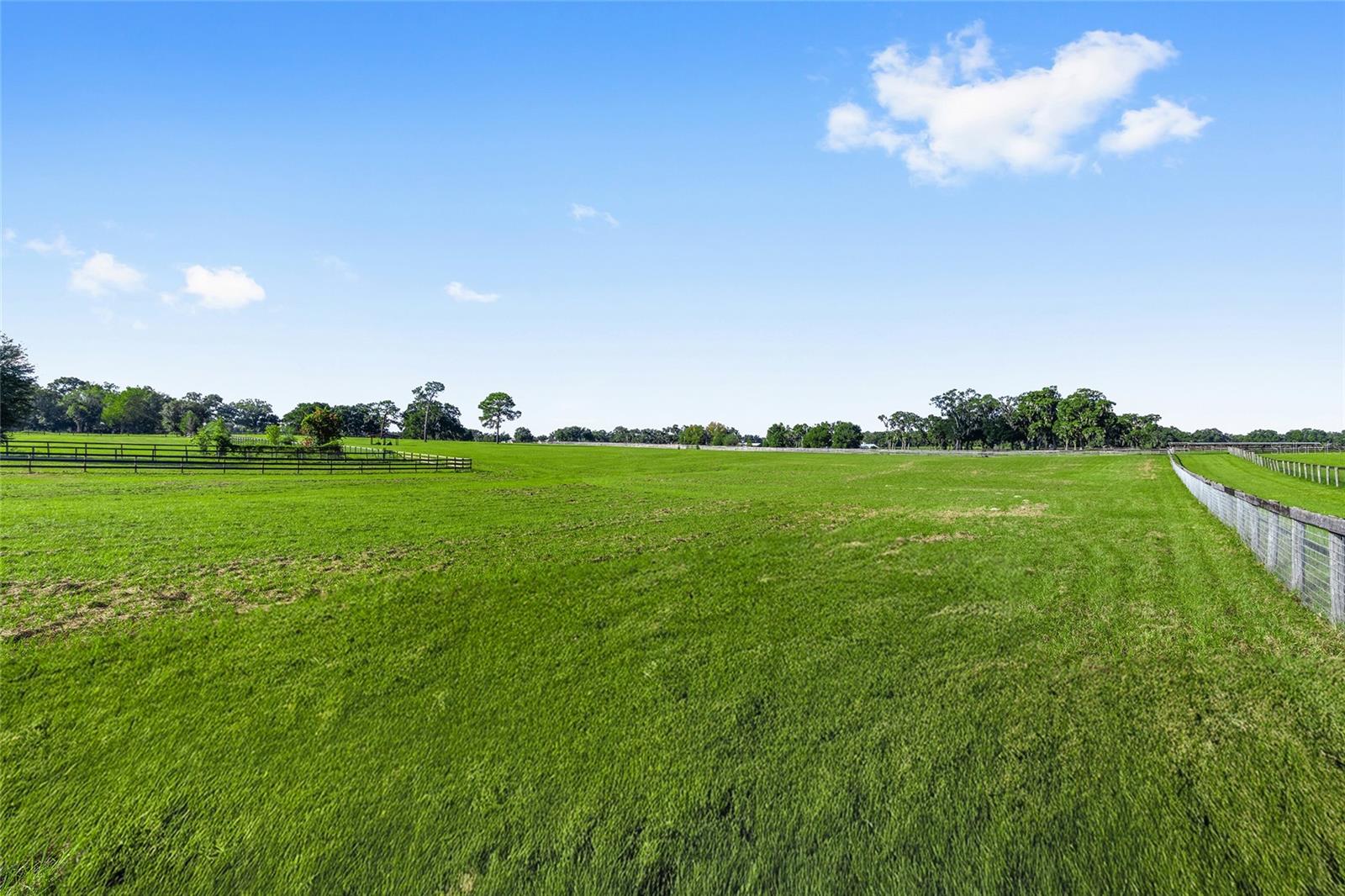 15269 NE 15TH CT, CITRA, FL, 32113