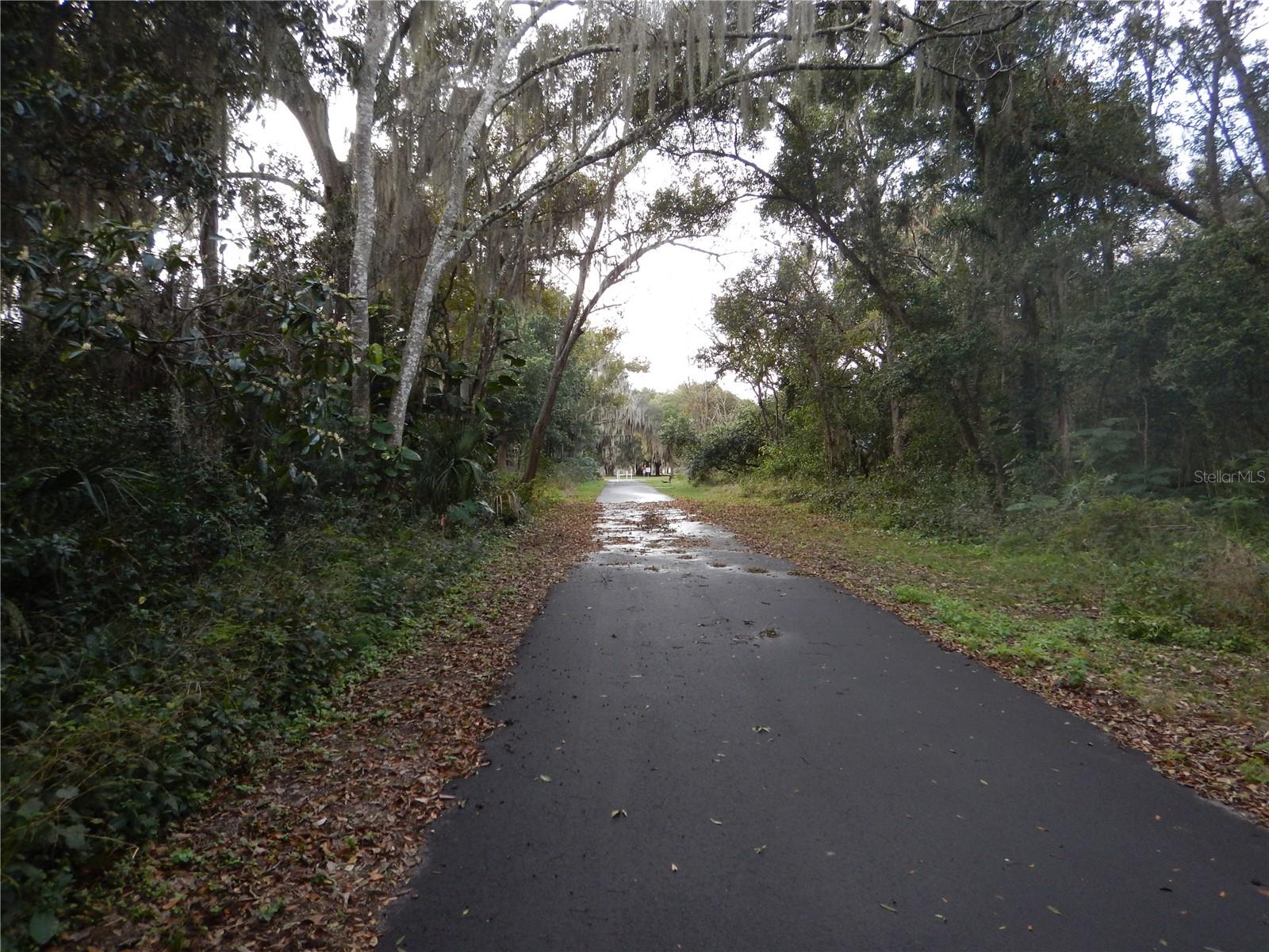 17345 PORTER AVE #B, MONTVERDE, FL, 34756