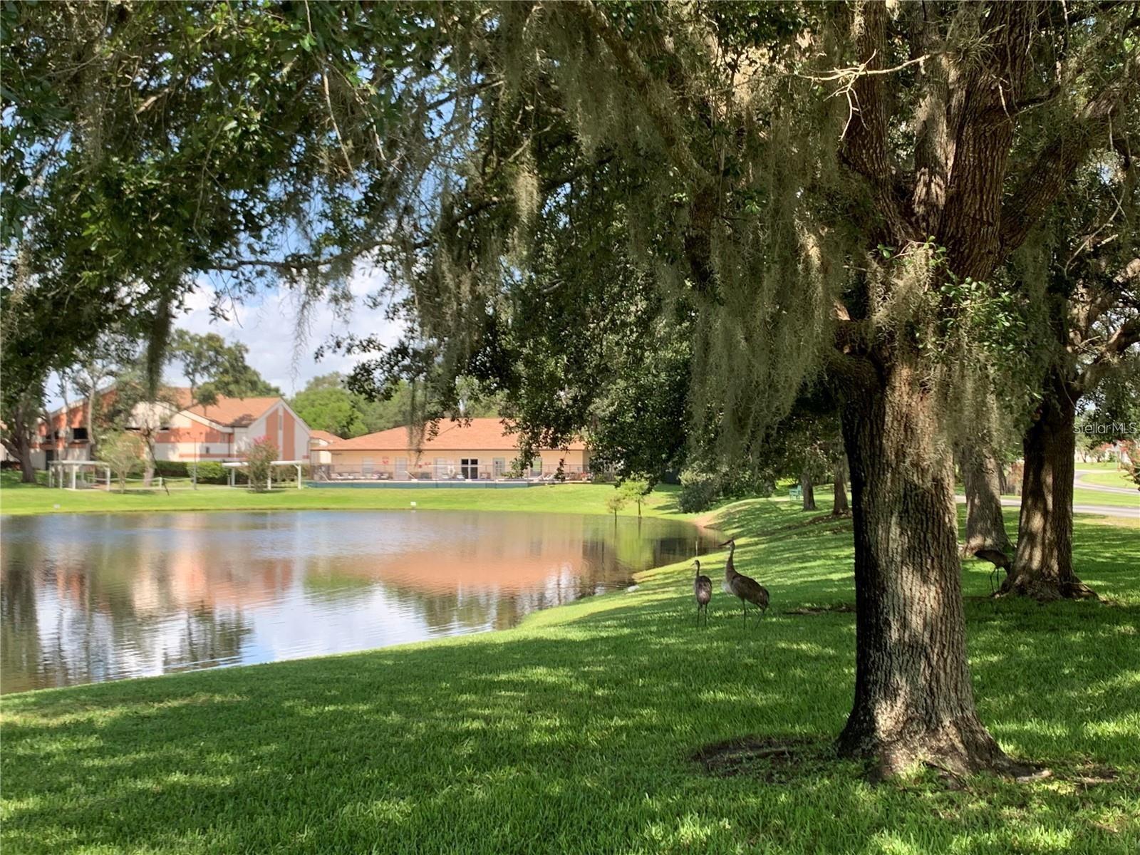 10 BRIGADOON CIR, LEESBURG, FL, 34788