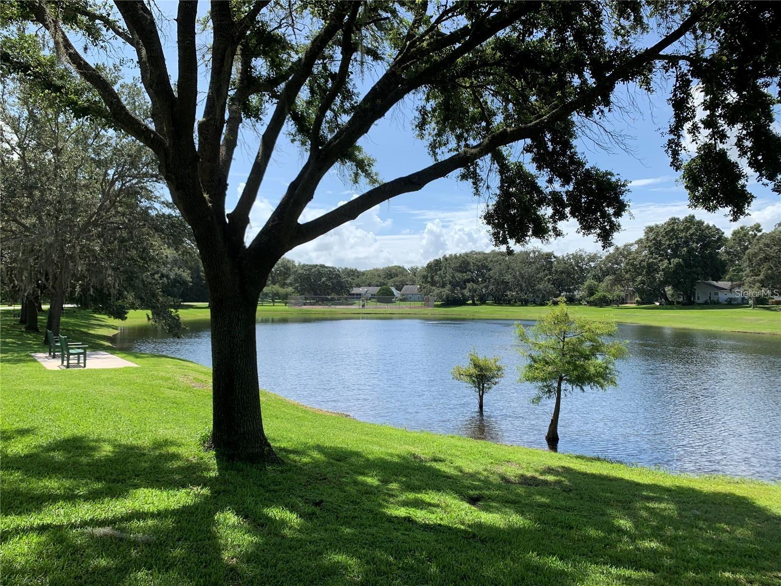 10 BRIGADOON CIR, LEESBURG, FL, 34788