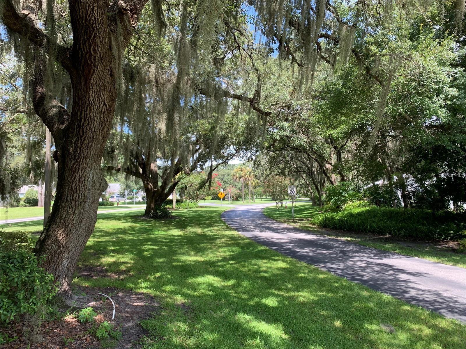 10 BRIGADOON CIR, LEESBURG, FL, 34788