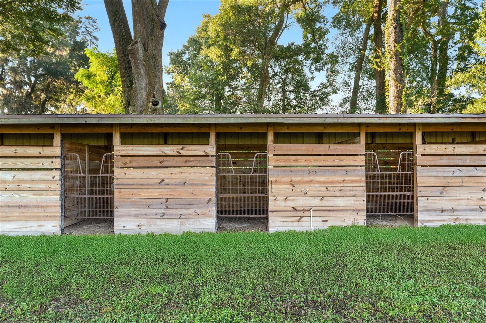 TBD SW 100TH ST, OCALA, FL, 34476