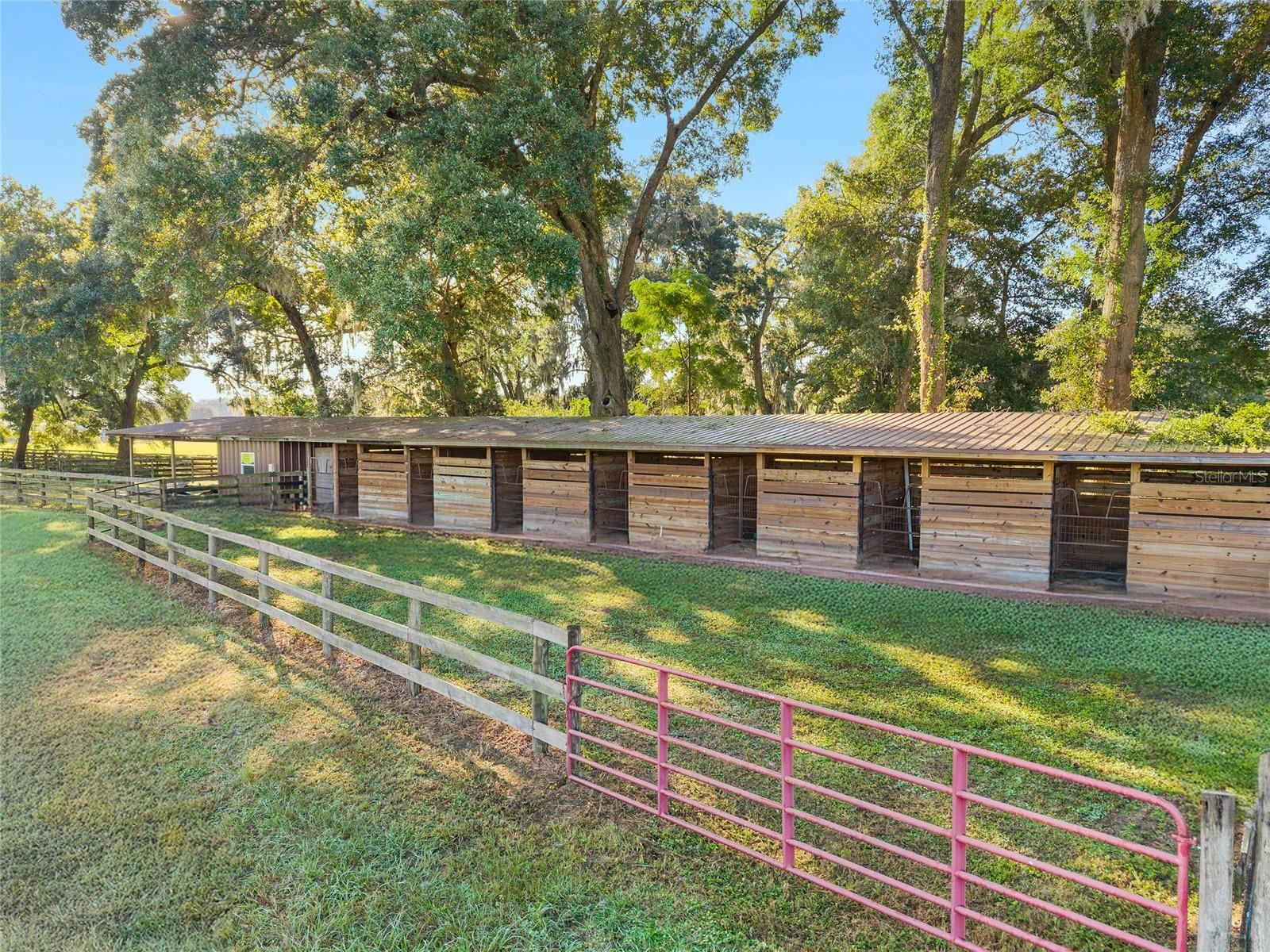 TBD SW 100TH ST, OCALA, FL, 34476