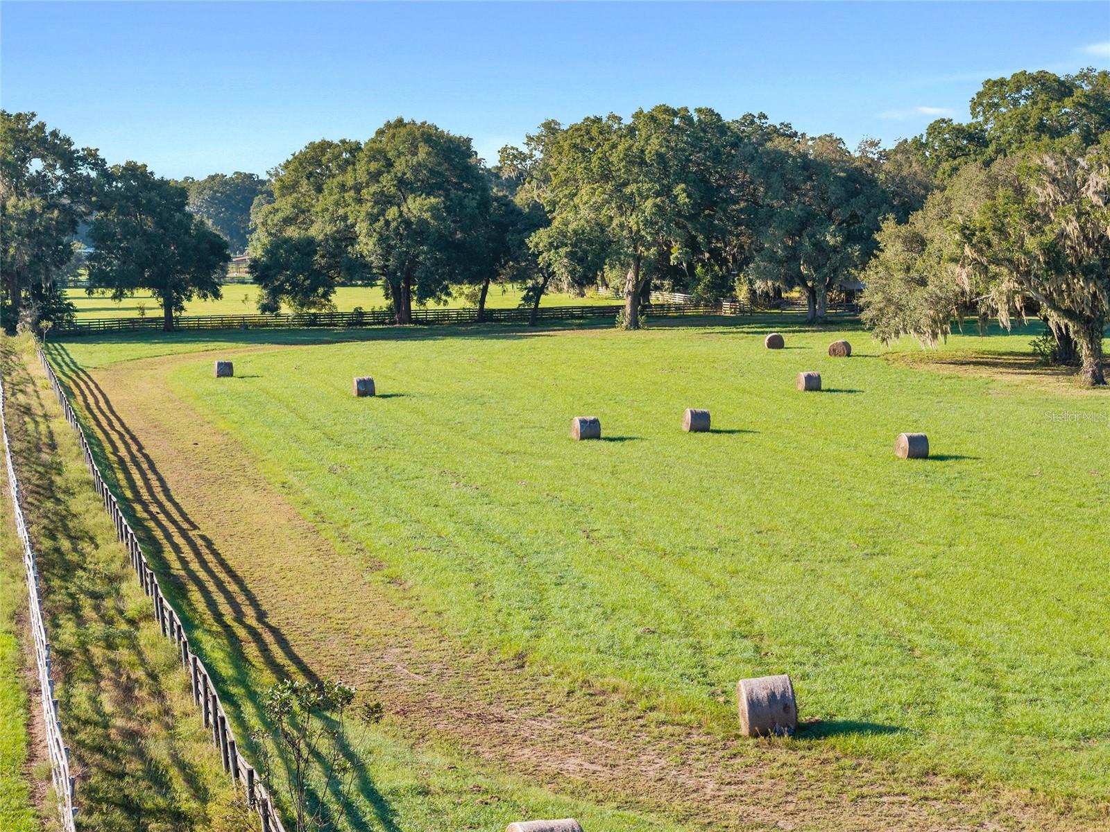 TBD SW 100TH ST, OCALA, FL, 34476