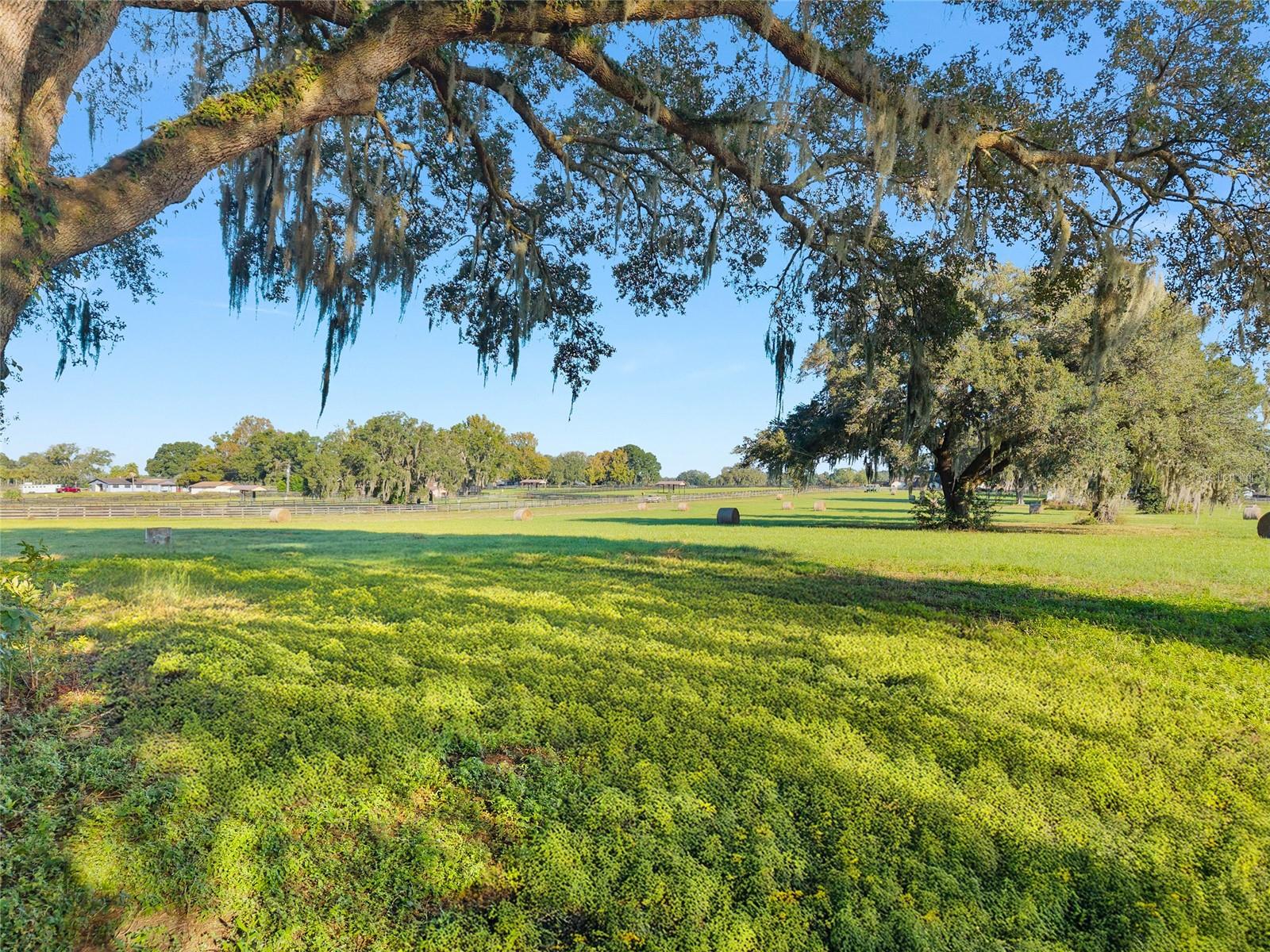 TBD SW 100TH ST, OCALA, FL, 34476