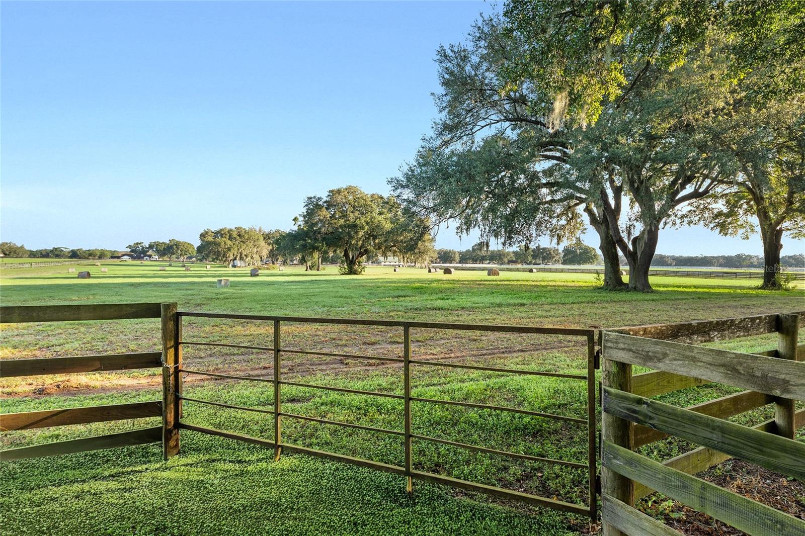 TBD SW 100TH ST, OCALA, FL, 34476