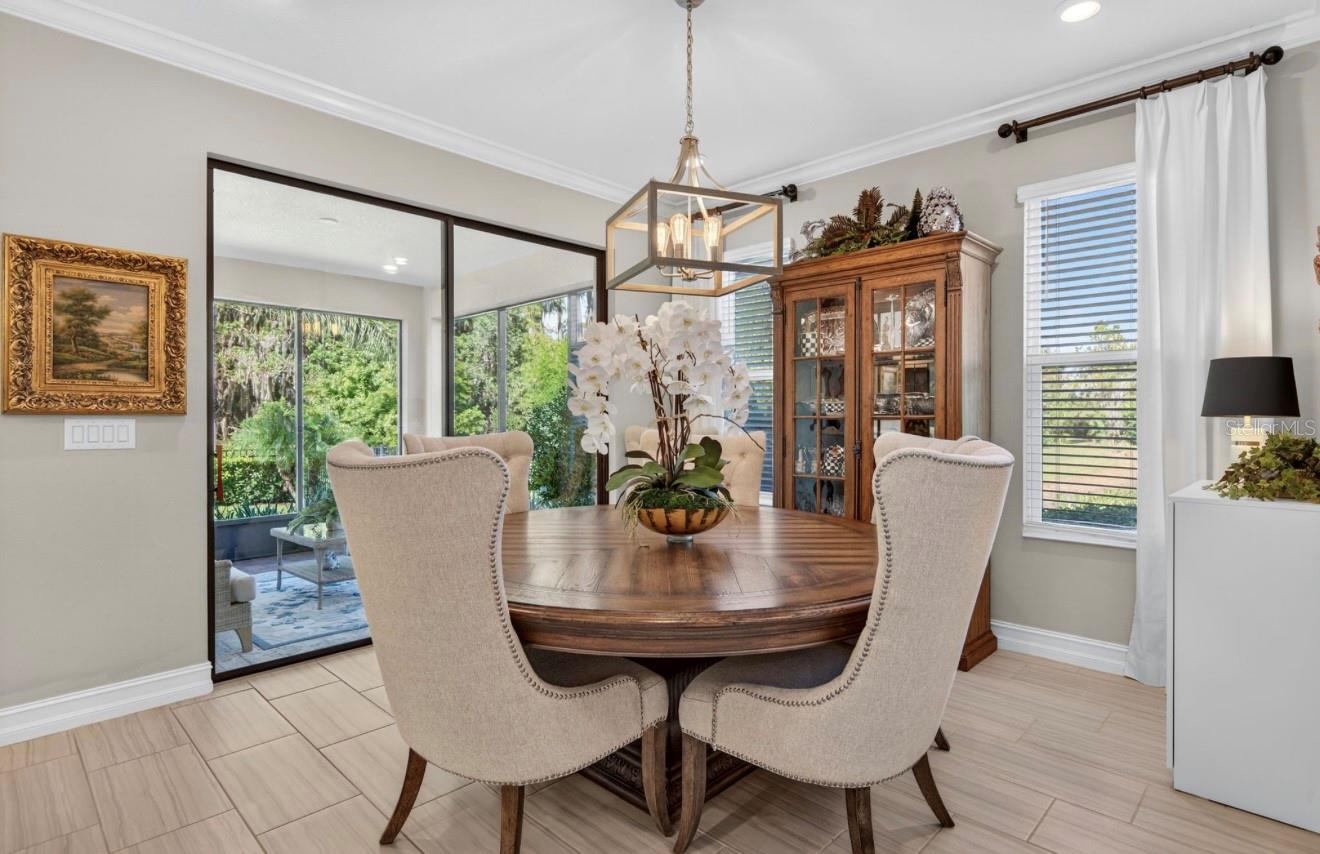 19700 ROSEATE DR, LUTZ, FL, 33558