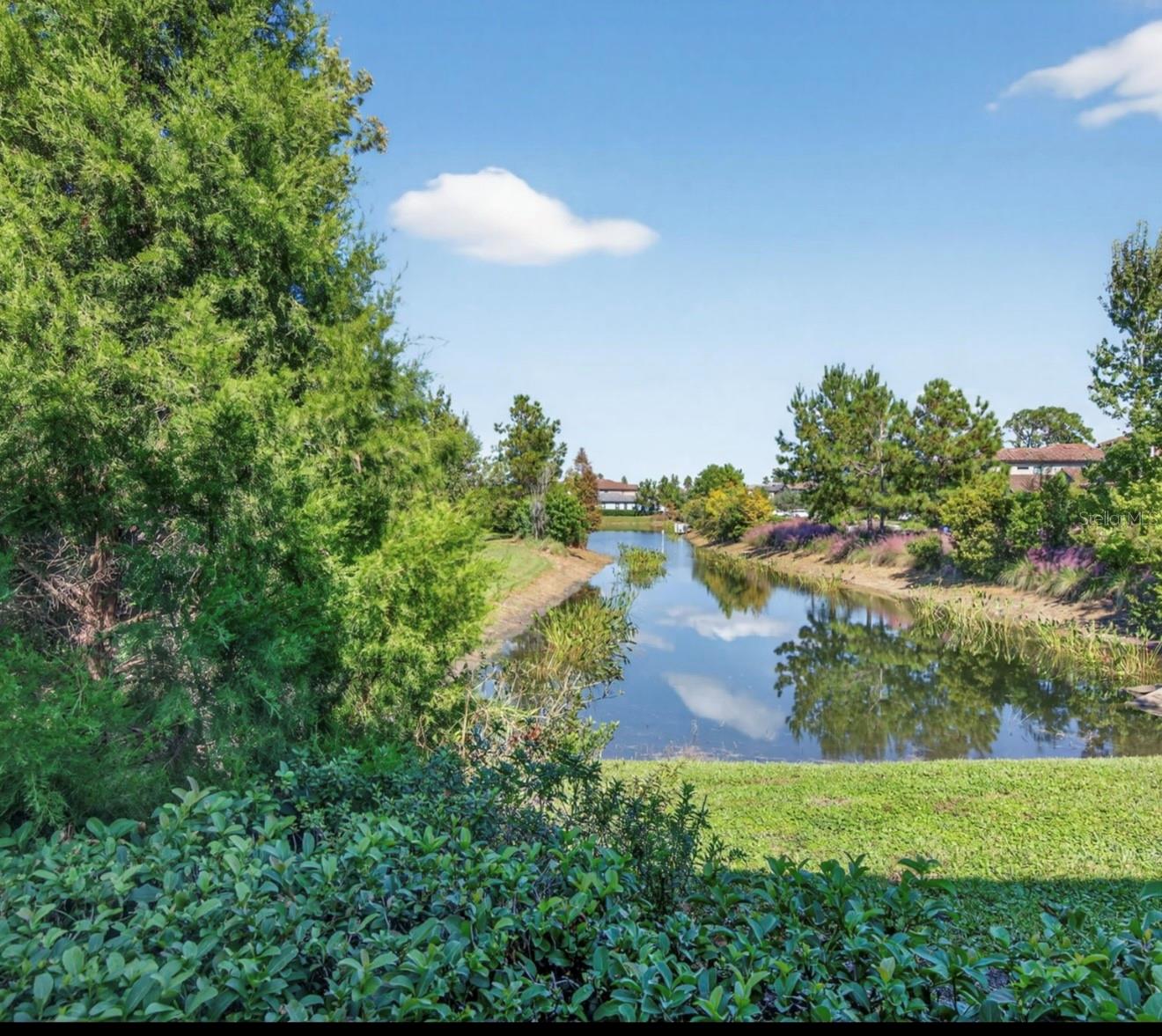 19700 ROSEATE DR, LUTZ, FL, 33558