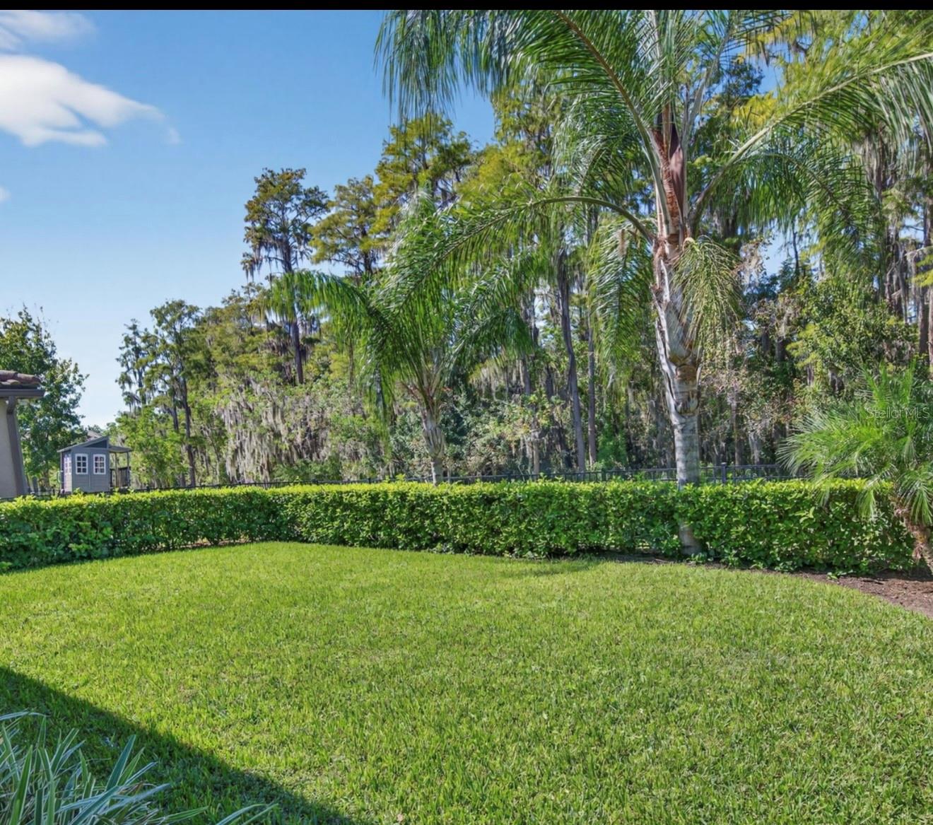 19700 ROSEATE DR, LUTZ, FL, 33558