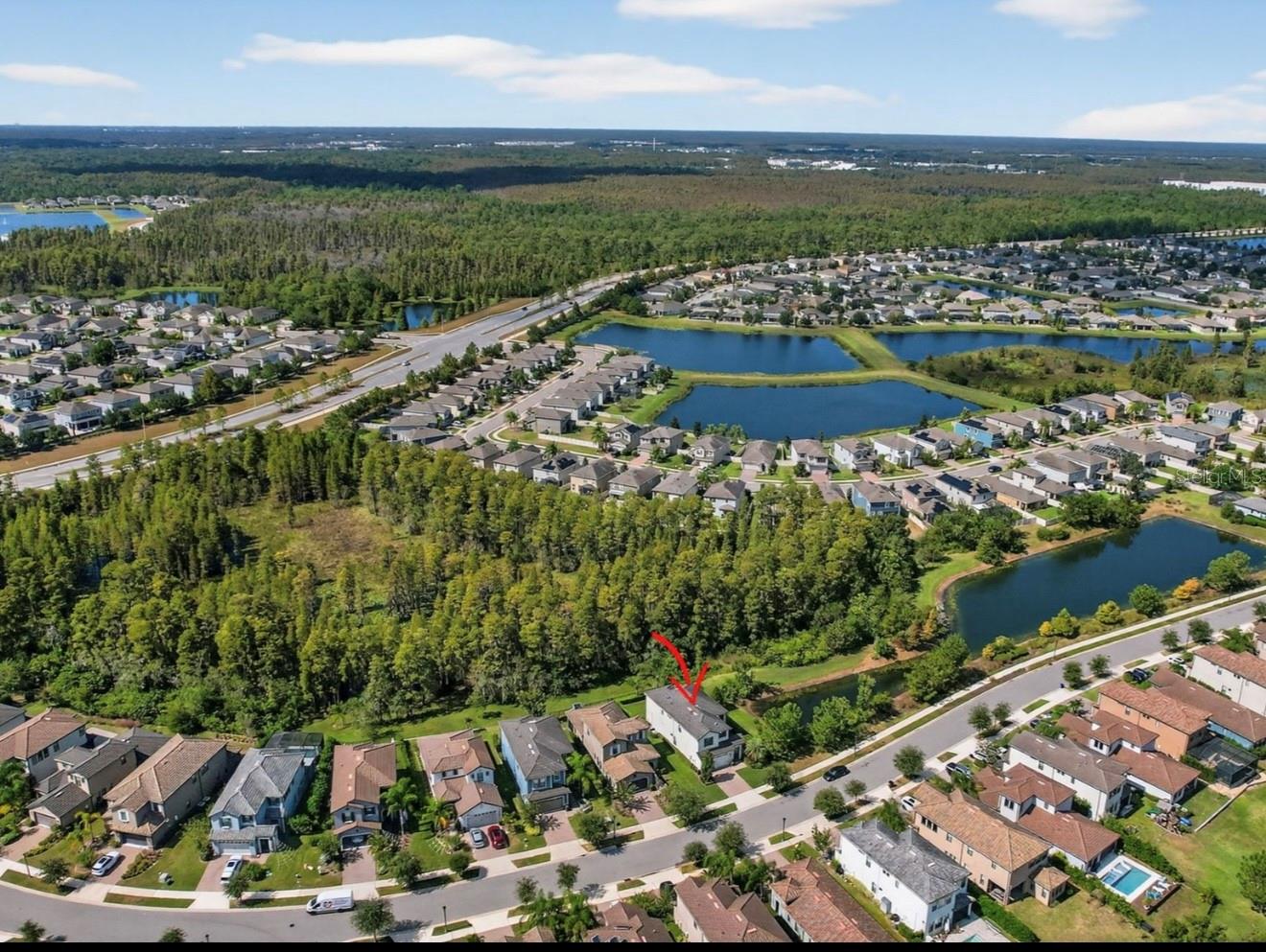 19700 ROSEATE DR, LUTZ, FL, 33558