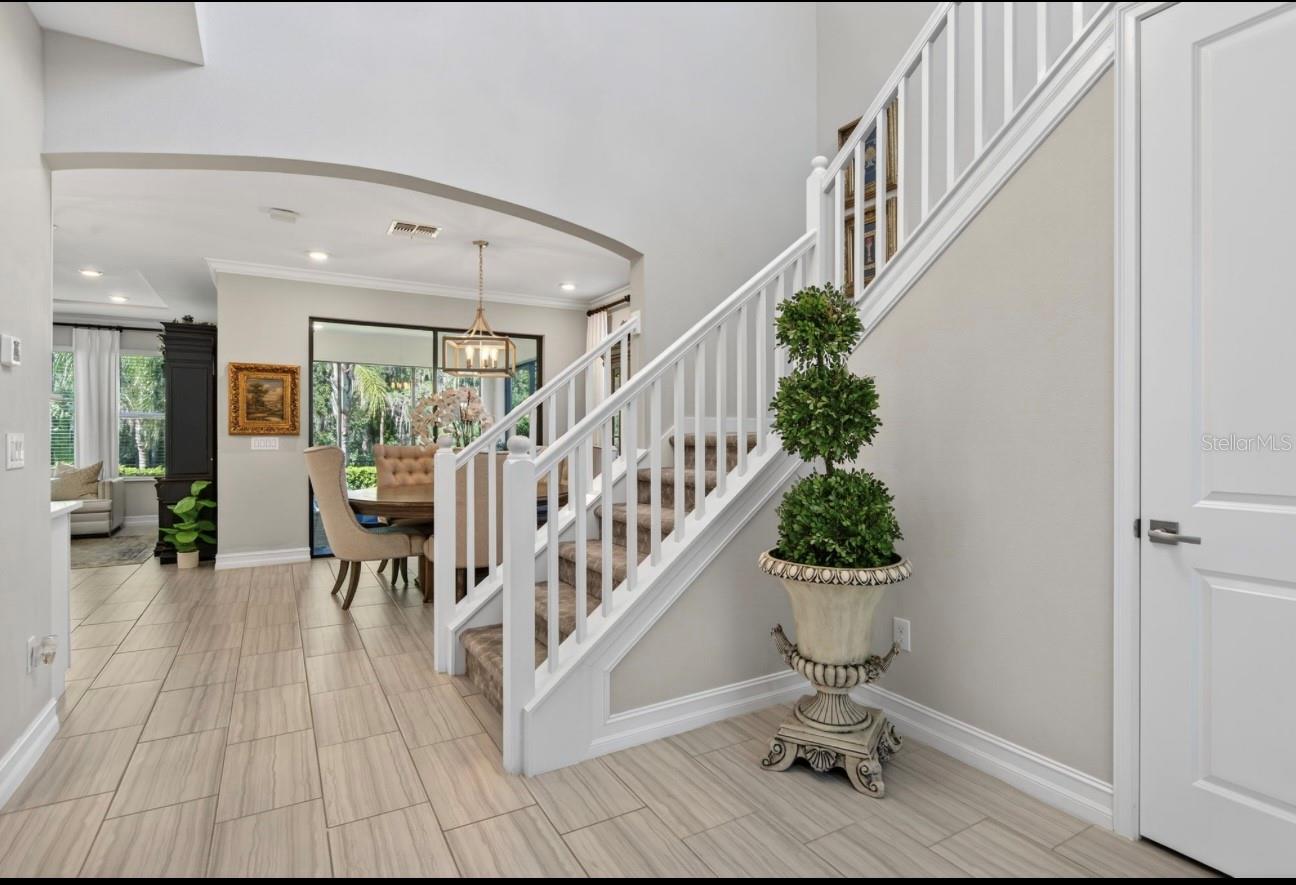 19700 ROSEATE DR, LUTZ, FL, 33558