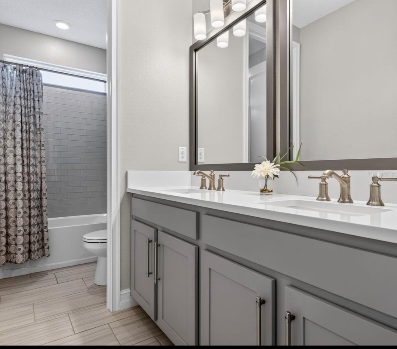 19700 ROSEATE DR, LUTZ, FL, 33558