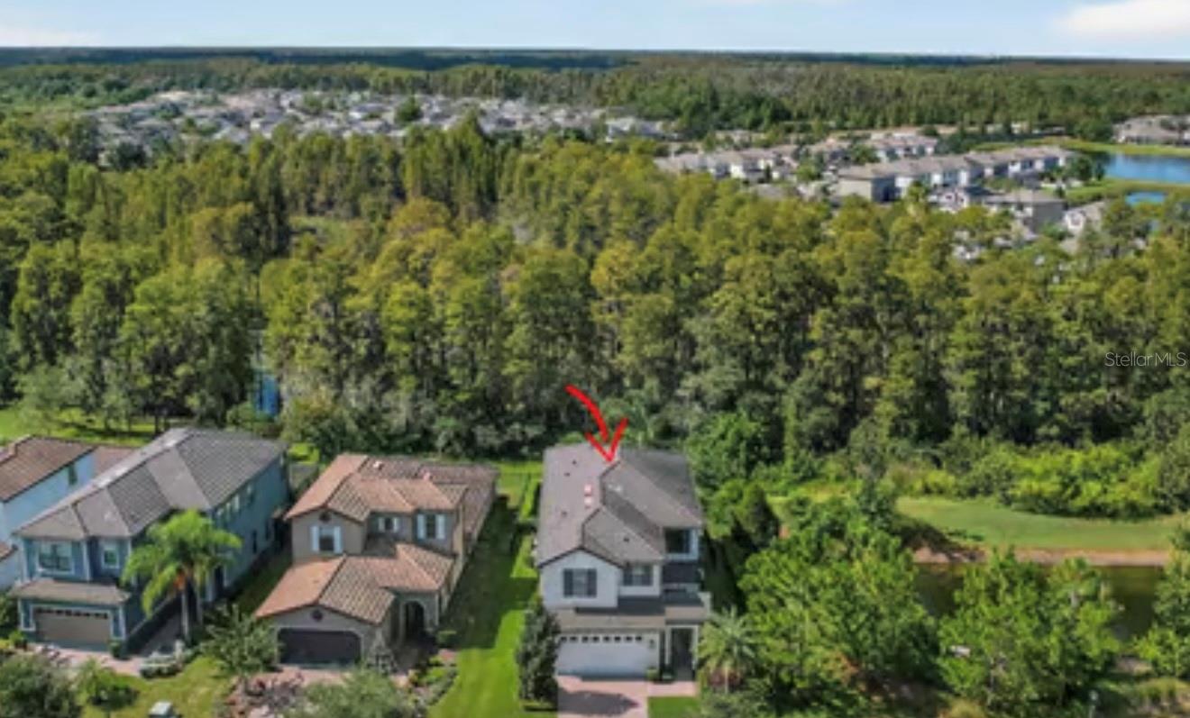 19700 ROSEATE DR, LUTZ, FL, 33558