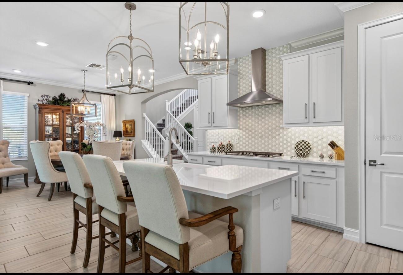 19700 ROSEATE DR, LUTZ, FL, 33558