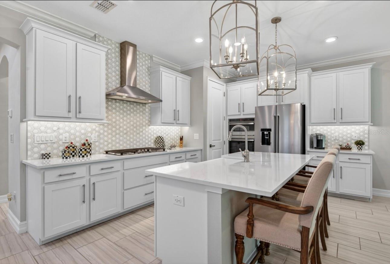 19700 ROSEATE DR, LUTZ, FL, 33558