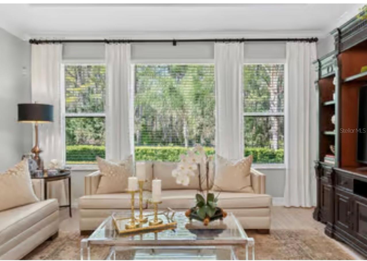 19700 ROSEATE DR, LUTZ, FL, 33558