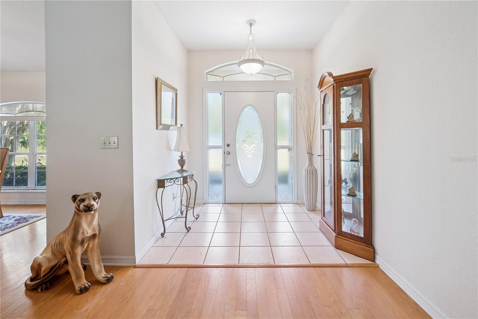 899 NE 10TH CIR, WILLISTON, FL, 32696