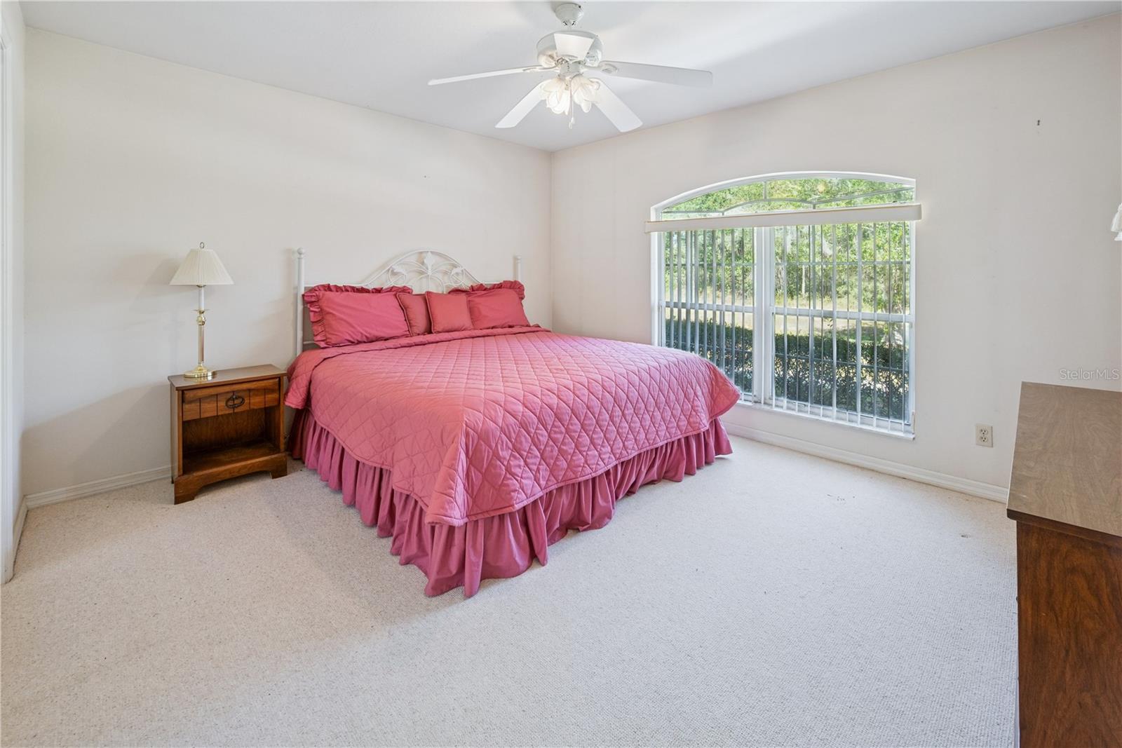 899 NE 10TH CIR, WILLISTON, FL, 32696