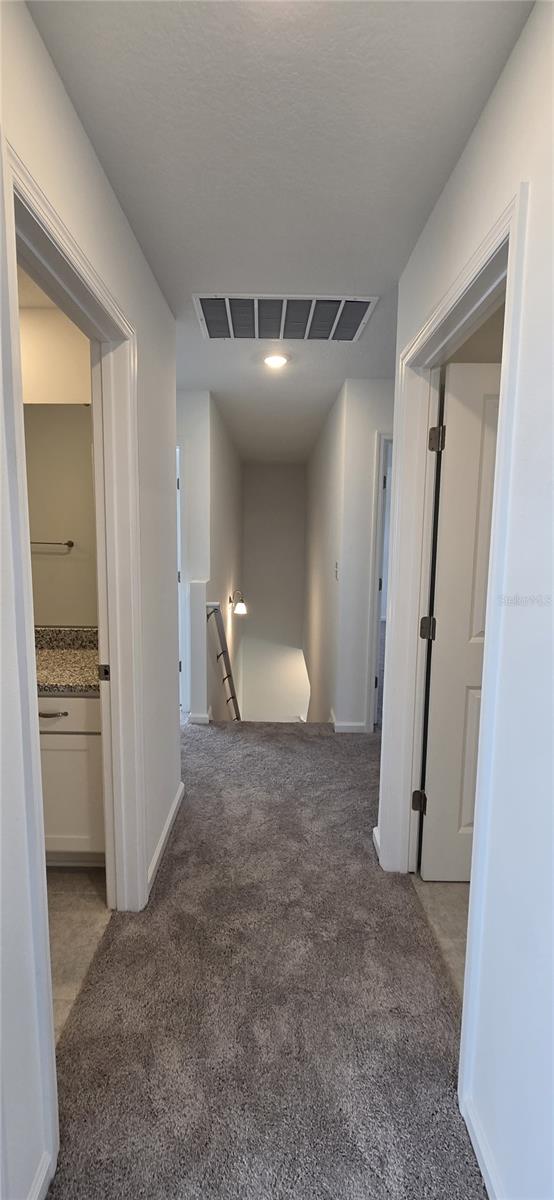 2803 POPPY AVE, HAINES CITY, FL, 33844