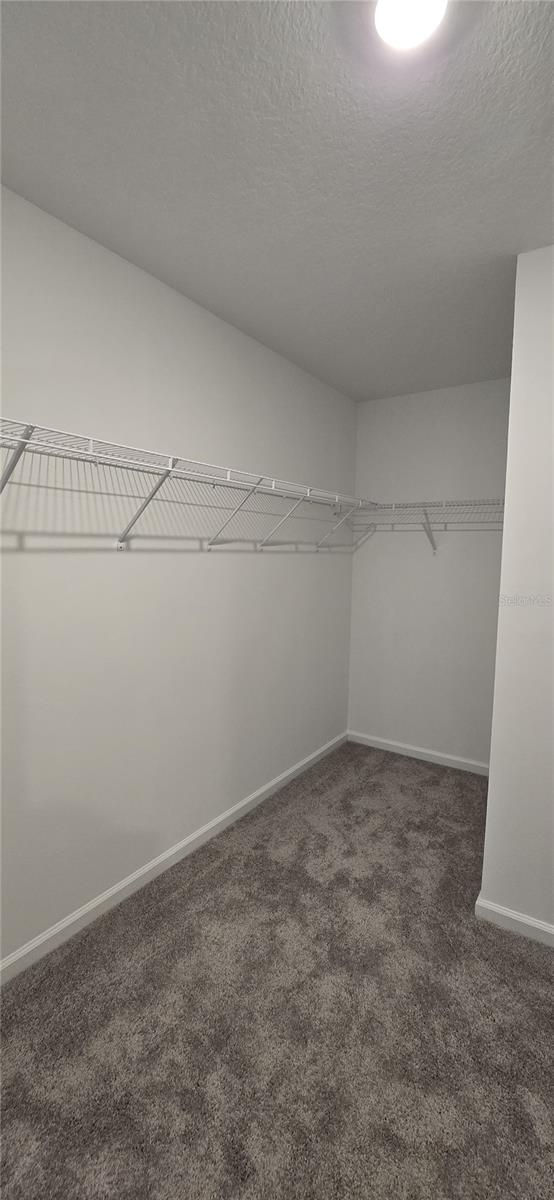 2803 POPPY AVE, HAINES CITY, FL, 33844