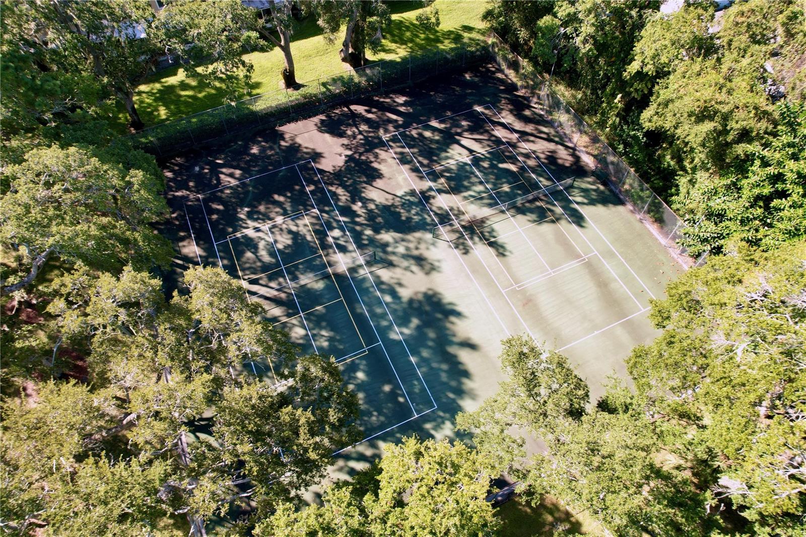 3241 FOX CHASE CIR N #103, PALM HARBOR, FL, 34683