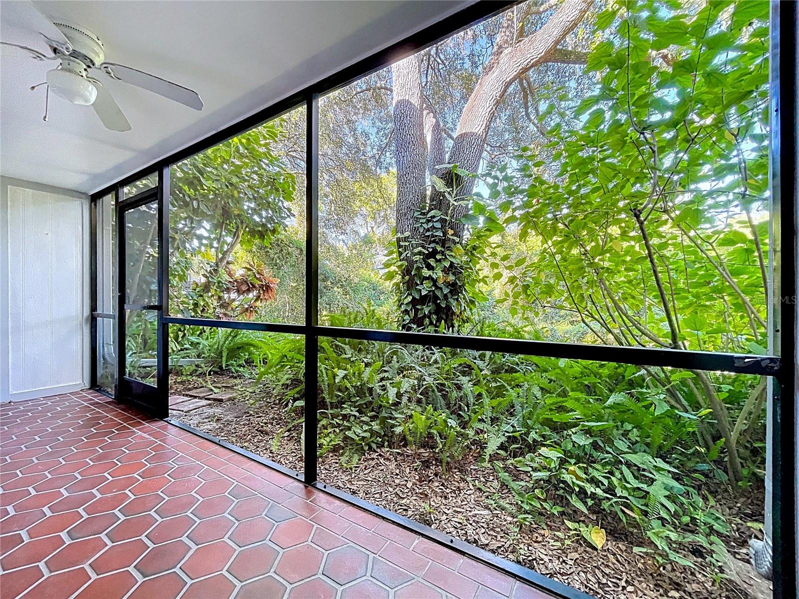 3241 FOX CHASE CIR N #103, PALM HARBOR, FL, 34683