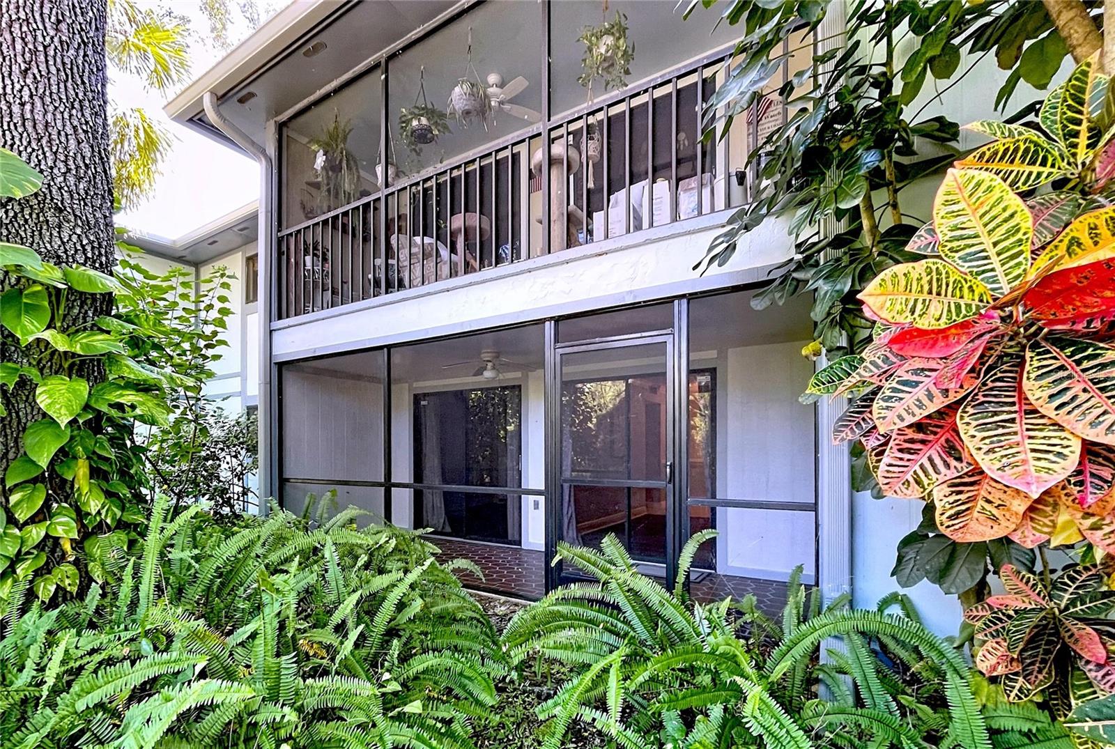 3241 FOX CHASE CIR N #103, PALM HARBOR, FL, 34683