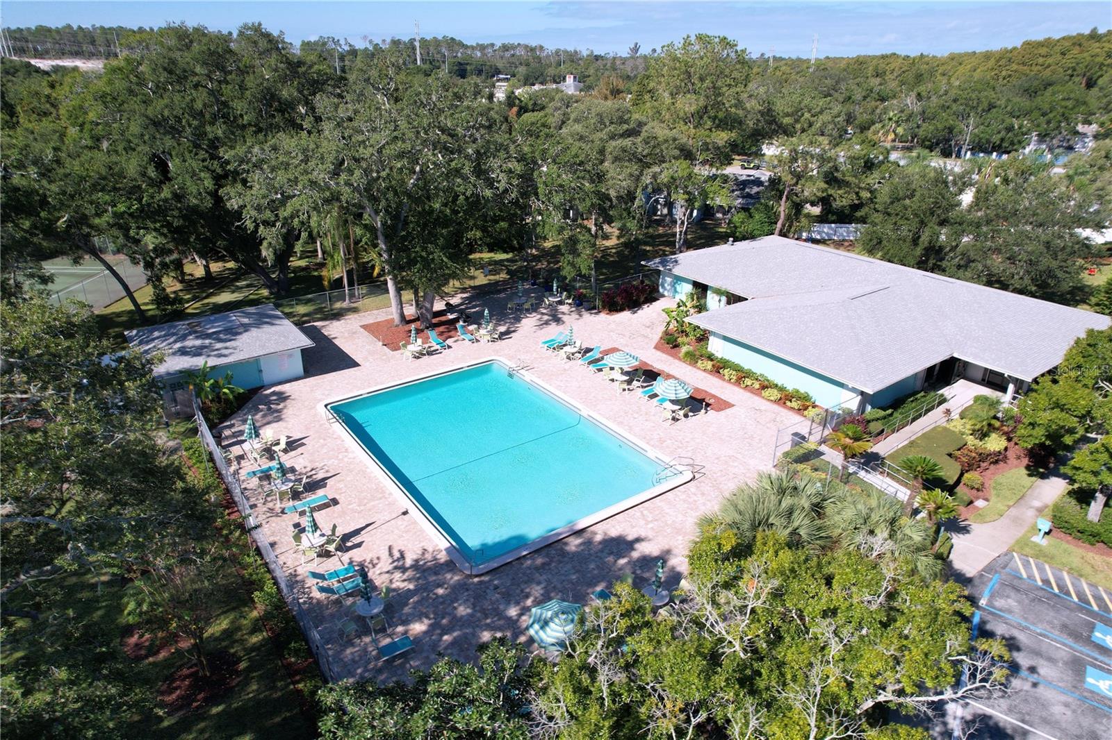 3241 FOX CHASE CIR N #103, PALM HARBOR, FL, 34683