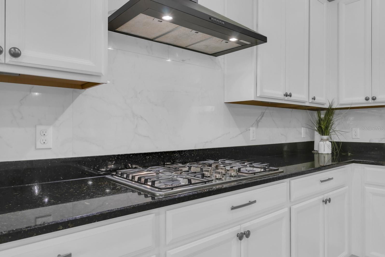 2137 PEARL CIDER ST, ORLANDO, FL, 32824