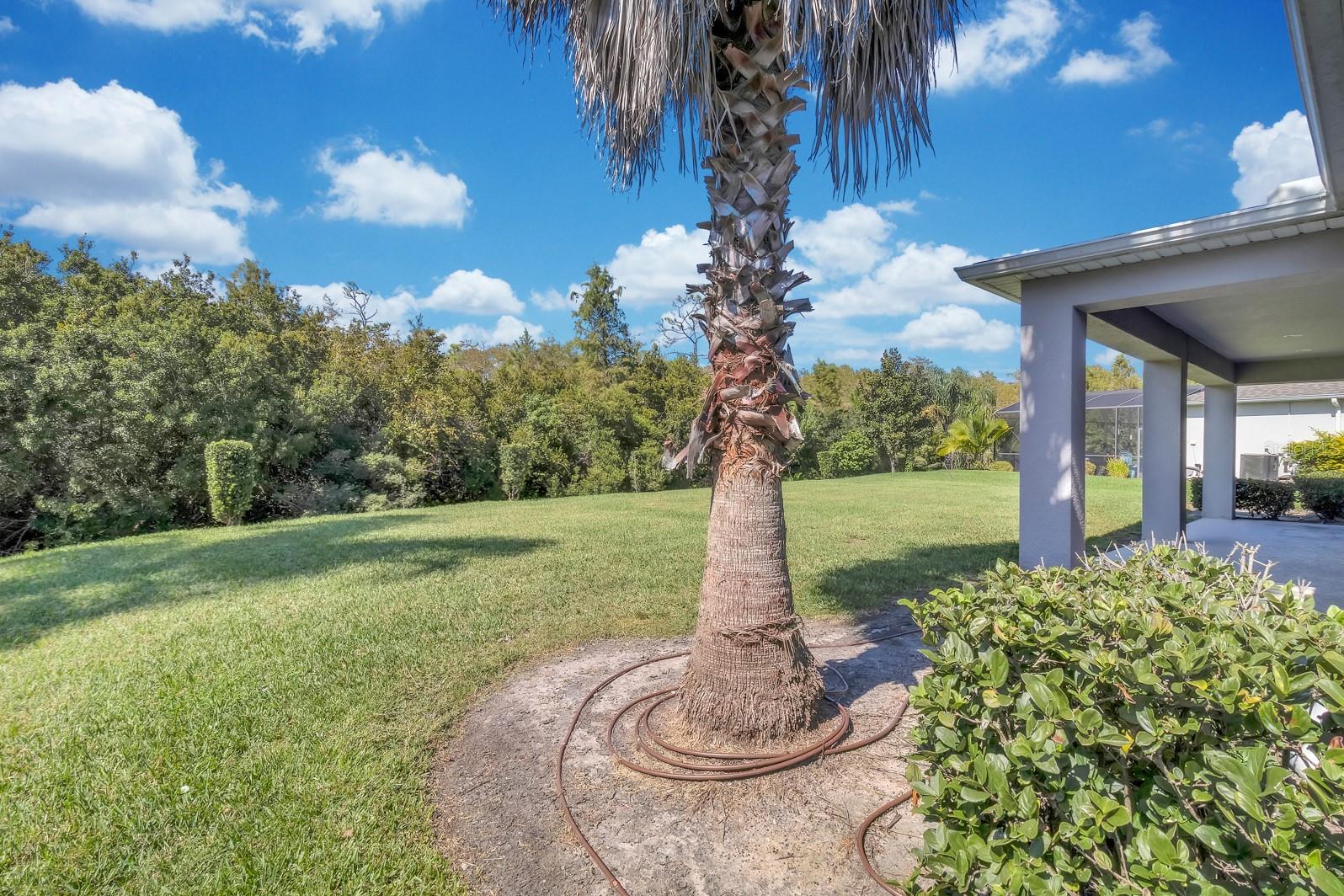 2137 PEARL CIDER ST, ORLANDO, FL, 32824