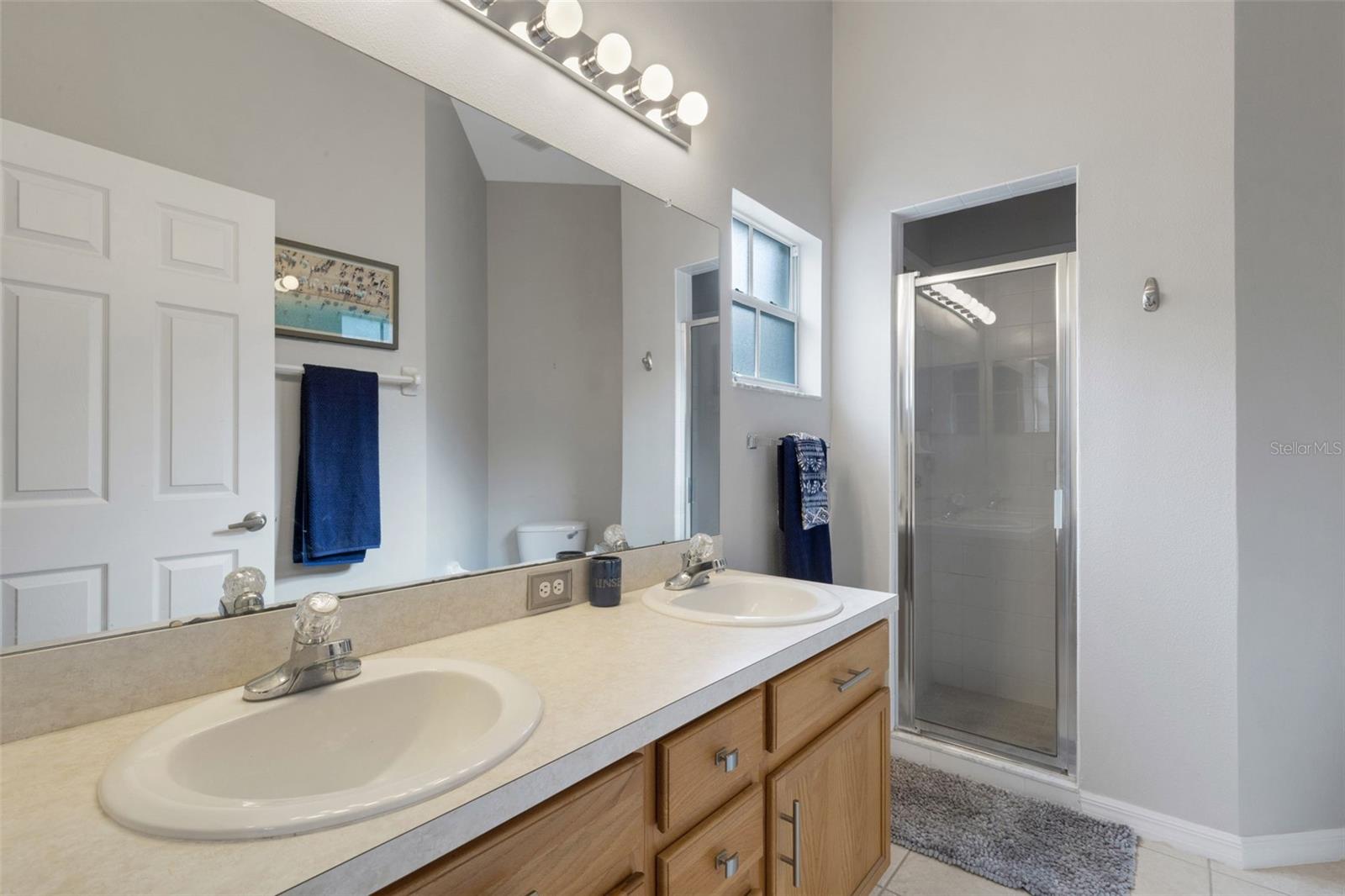 540 VISTA OAKS WAY, DAVENPORT, FL, 33837