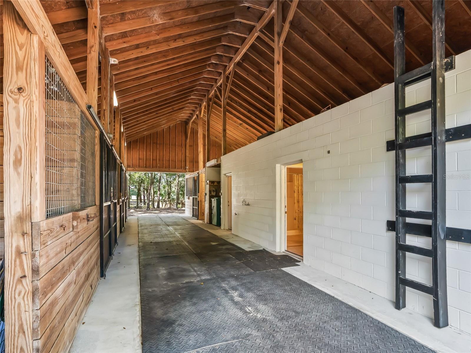 6565 NW 12TH ST, OCALA, FL, 34482