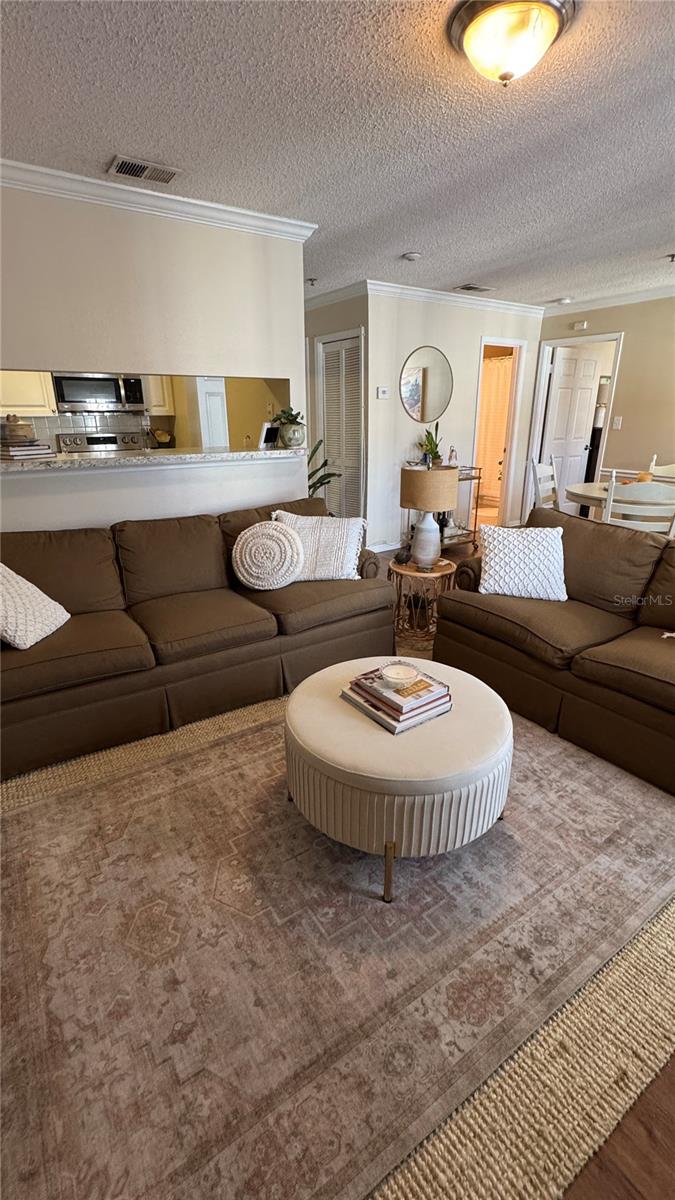 1000 W HORATIO ST #316, TAMPA, FL, 33606