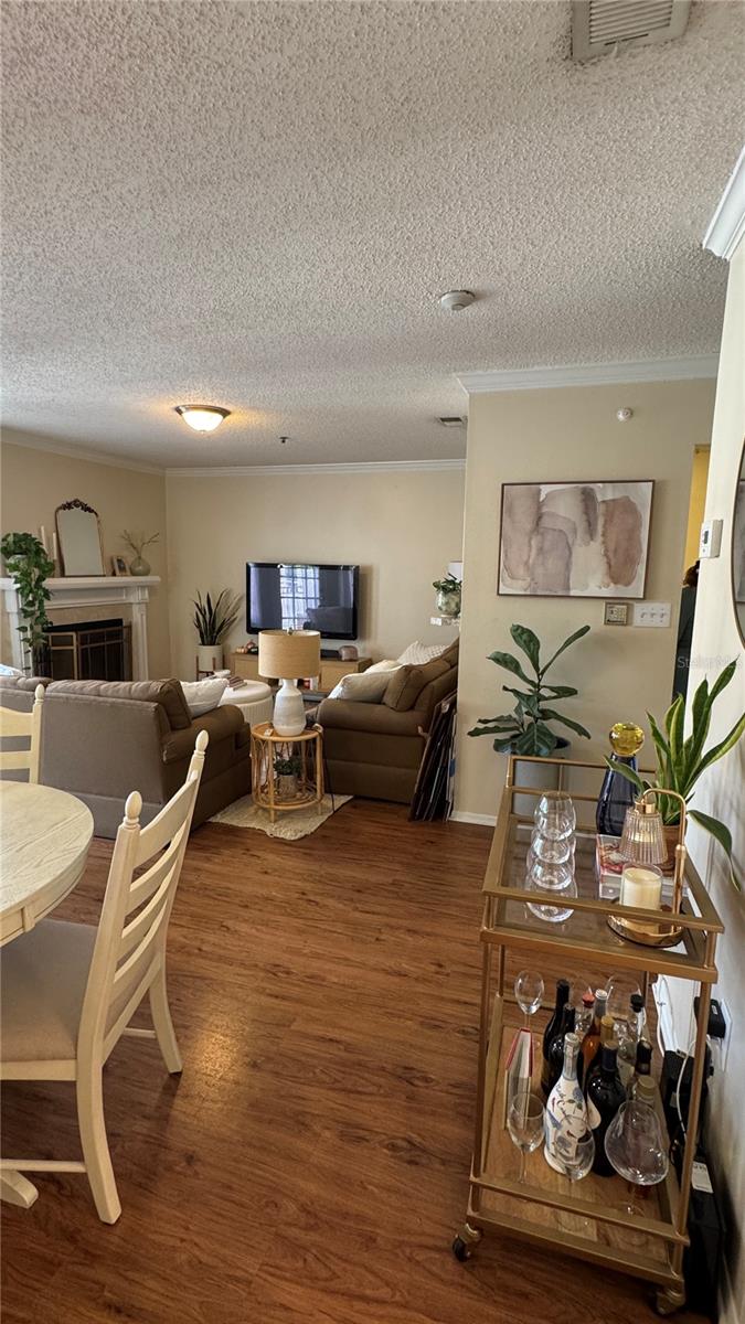 1000 W HORATIO ST #316, TAMPA, FL, 33606