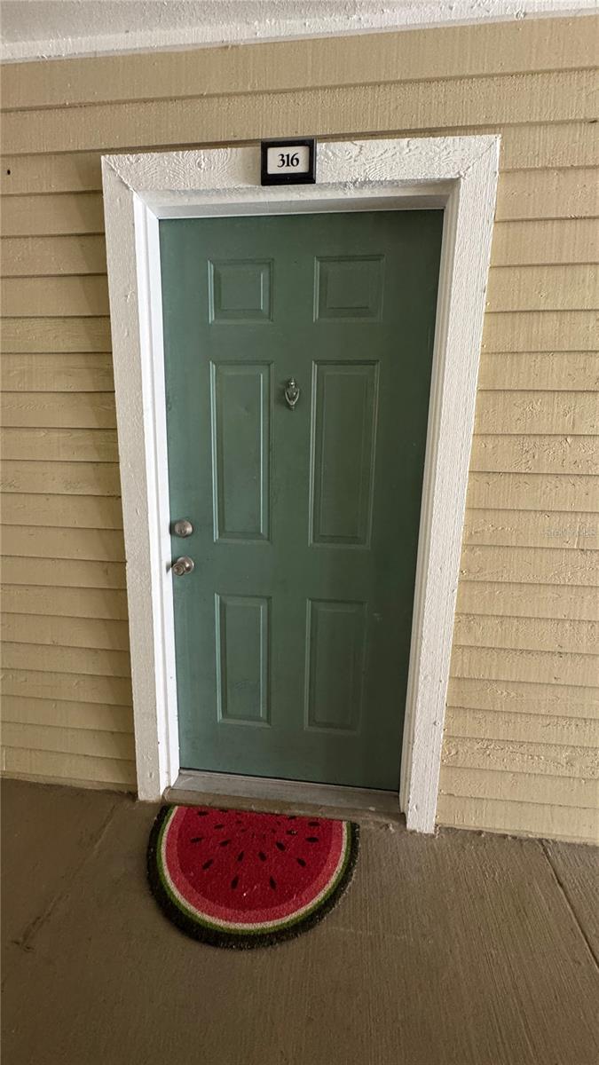 1000 W HORATIO ST #316, TAMPA, FL, 33606