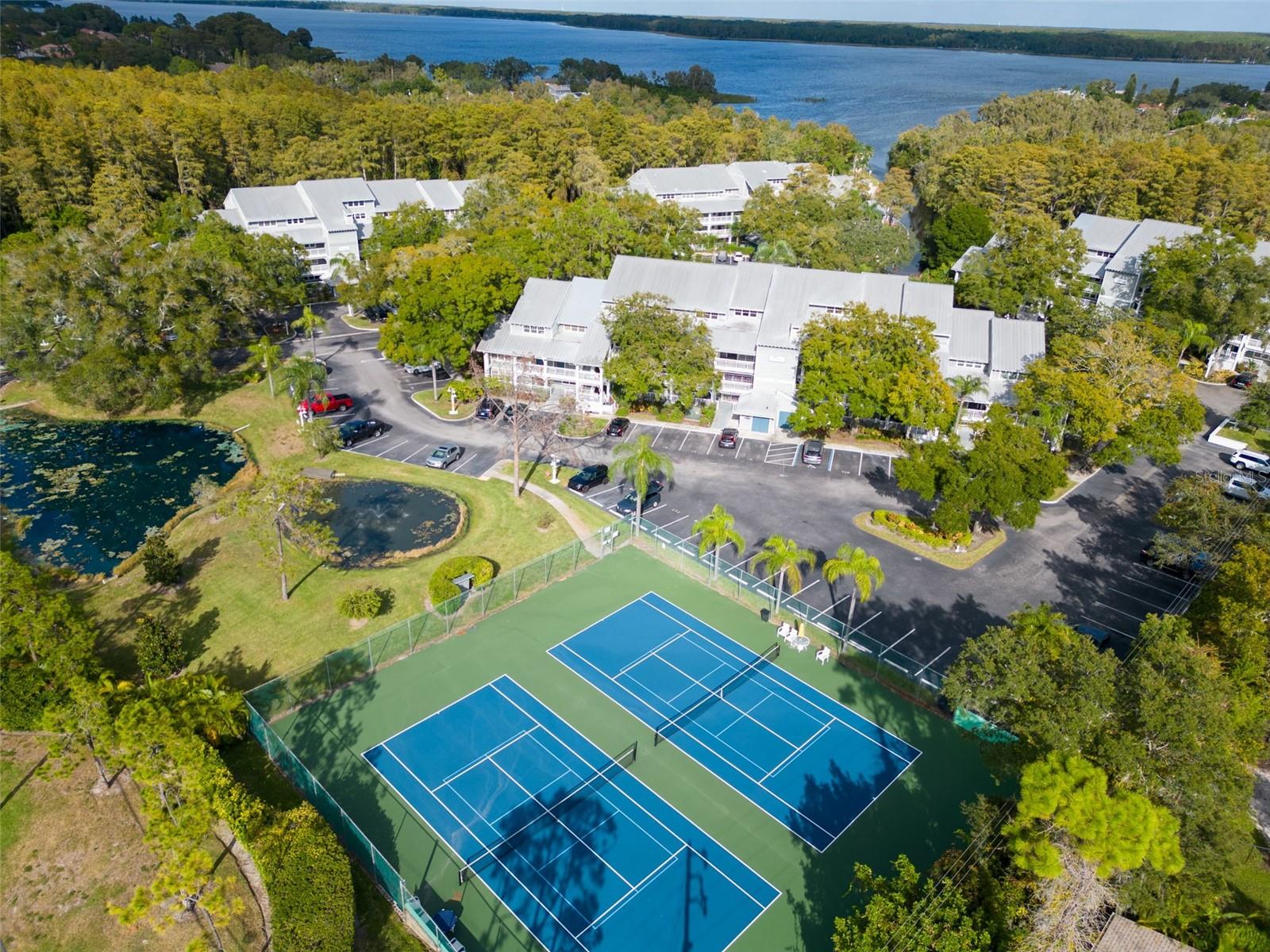 Tennis and Pickleball Court