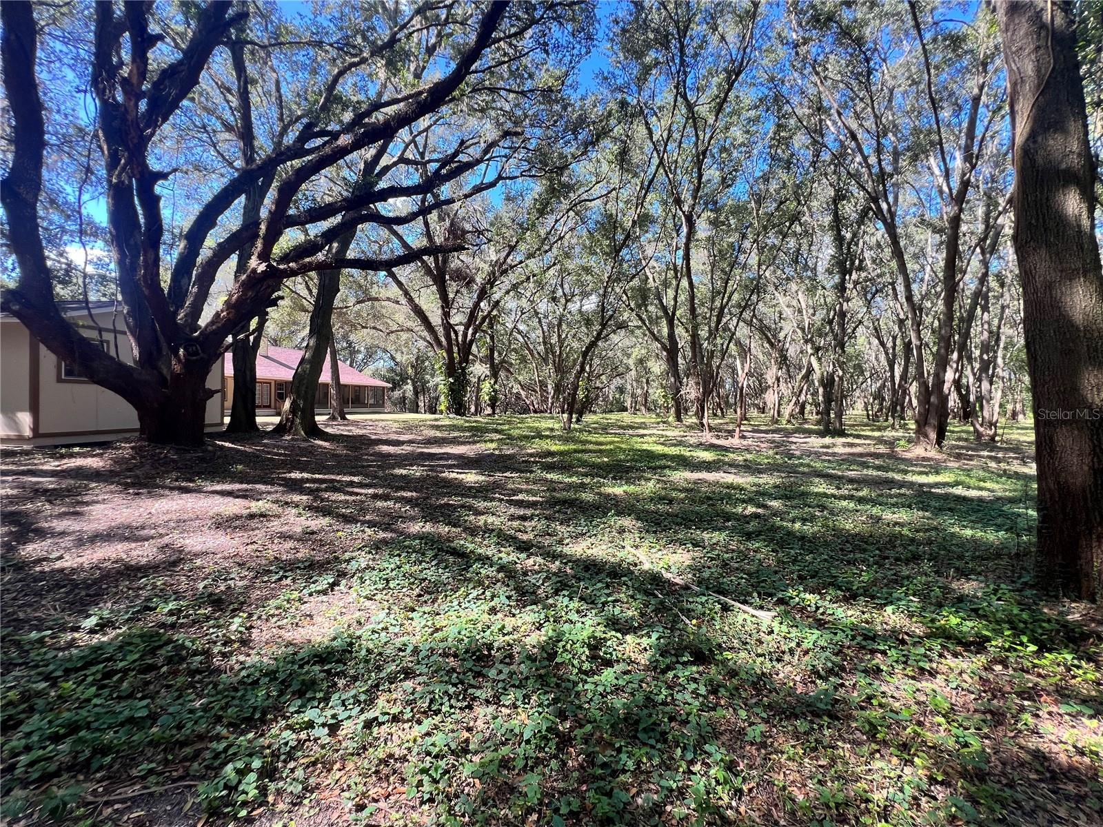 14609 SE 155TH ST, WEIRSDALE, FL, 32195