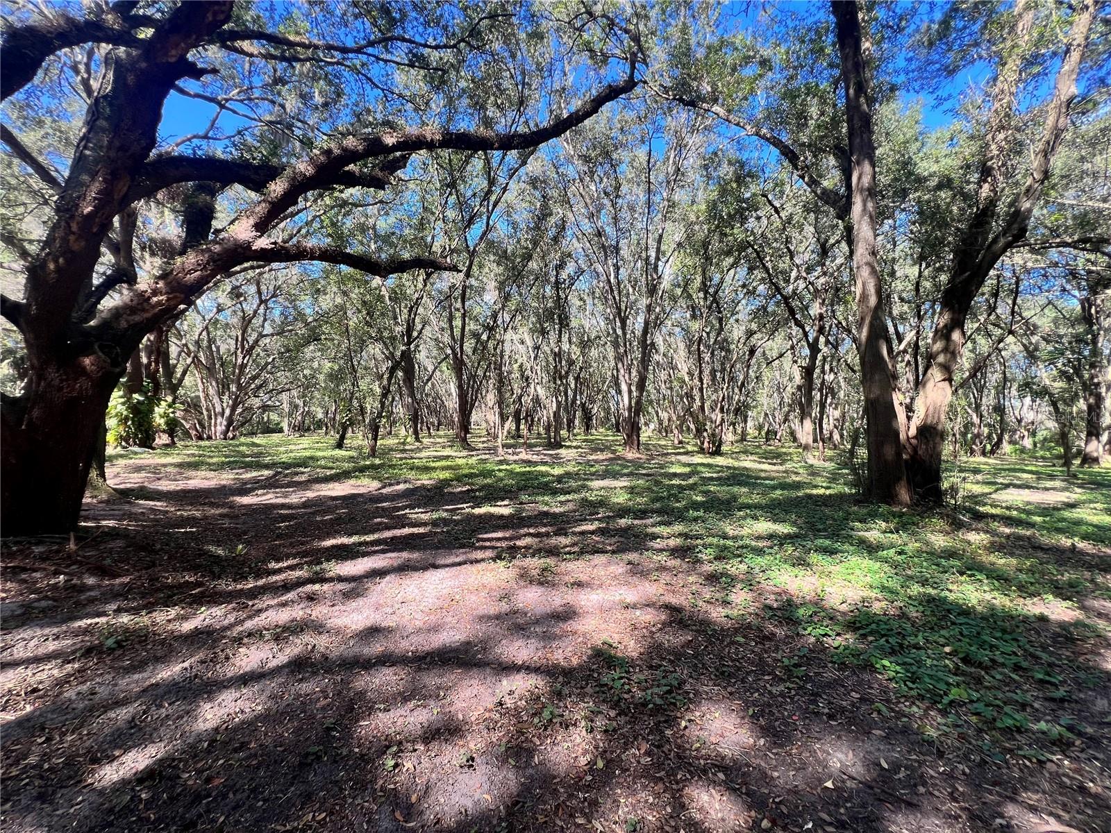 14609 SE 155TH ST, WEIRSDALE, FL, 32195