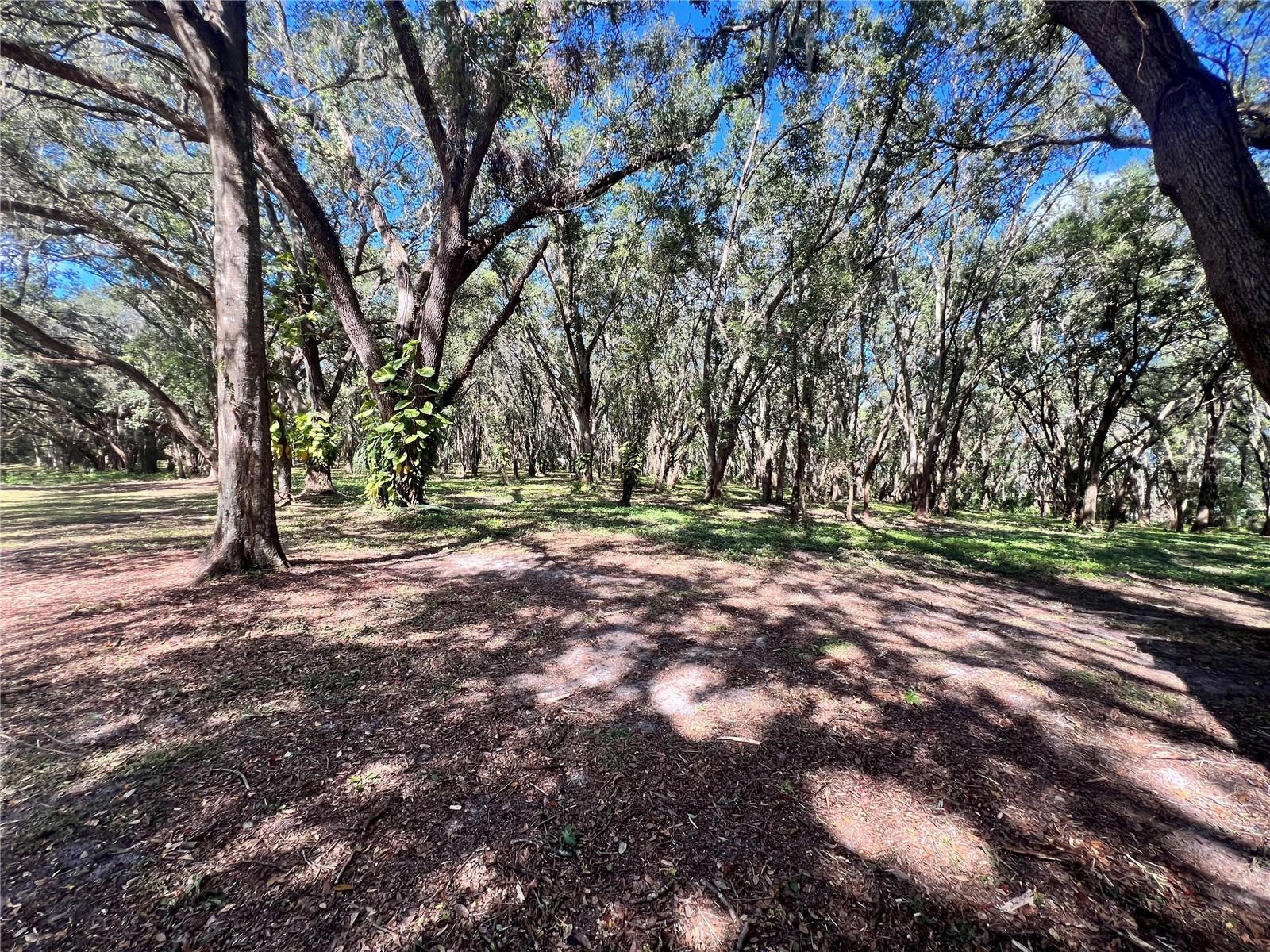 14609 SE 155TH ST, WEIRSDALE, FL, 32195