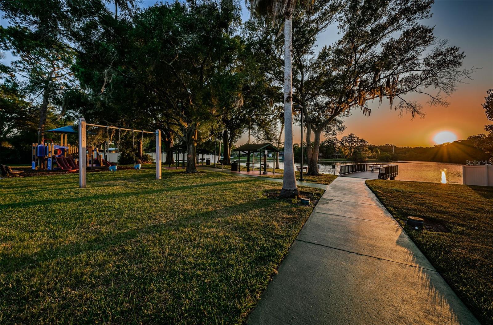 215 CORKWOOD LN, OLDSMAR, FL, 34677