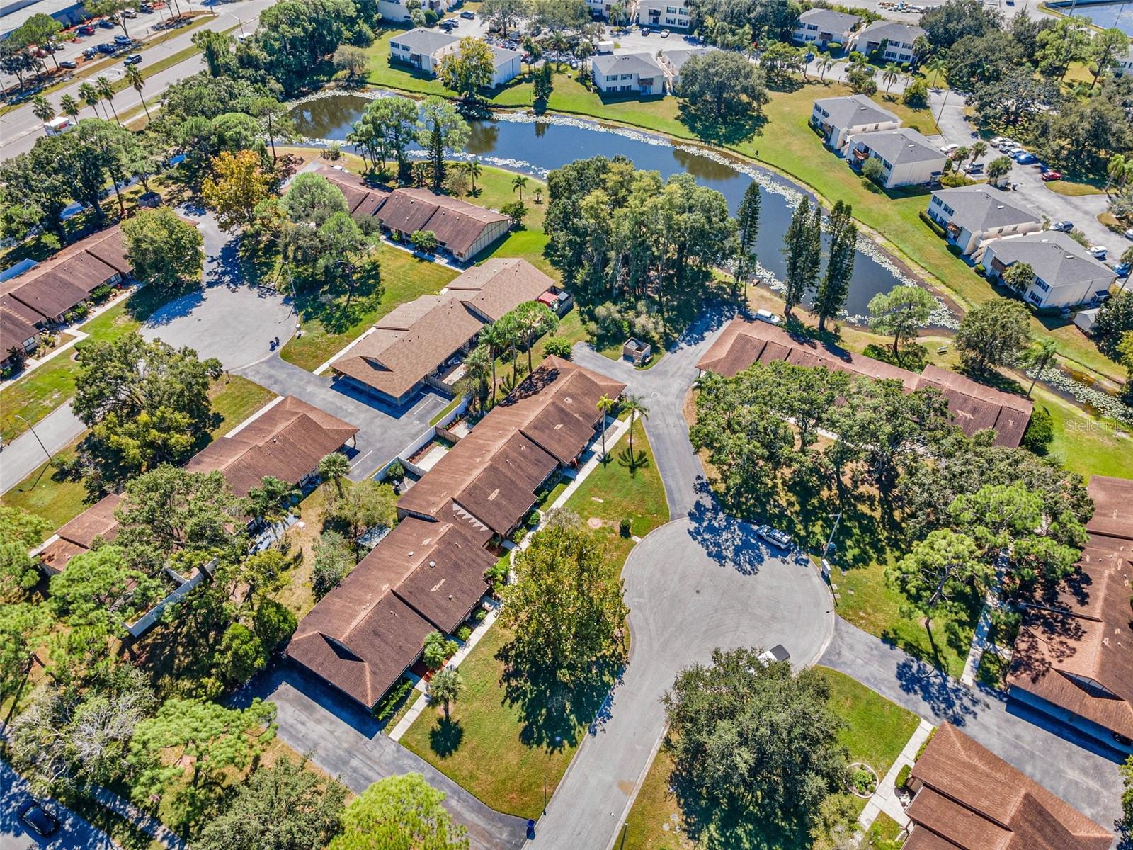 215 CORKWOOD LN, OLDSMAR, FL, 34677