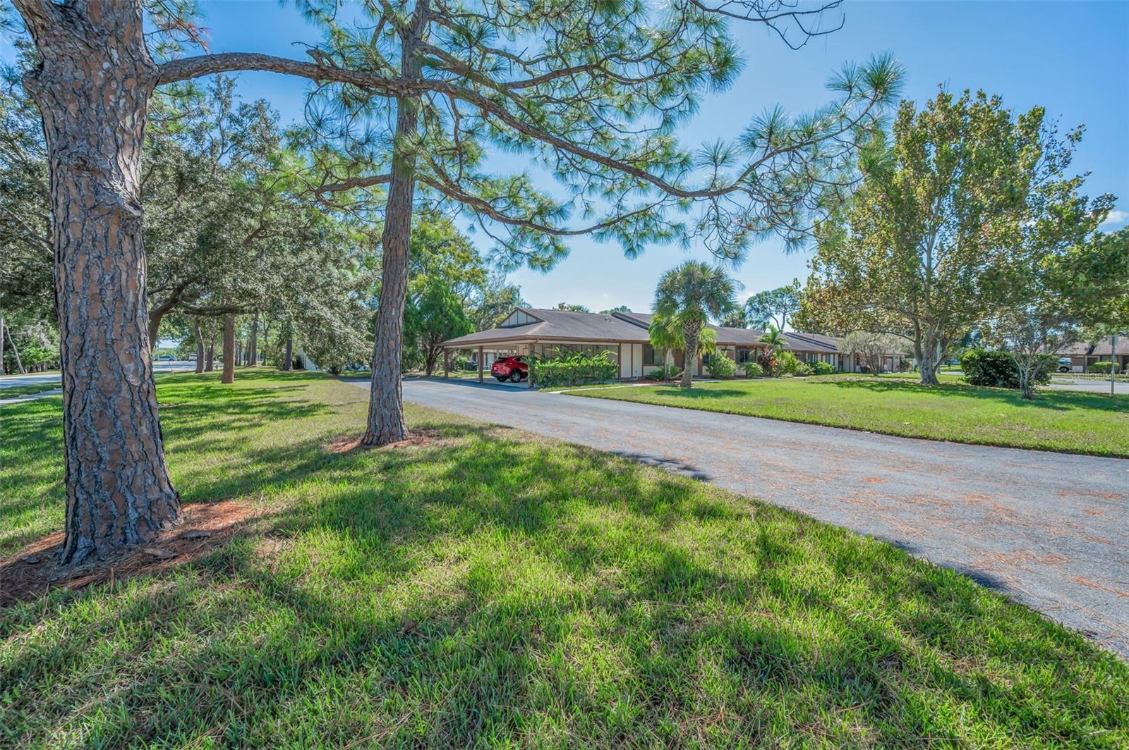 215 CORKWOOD LN, OLDSMAR, FL, 34677