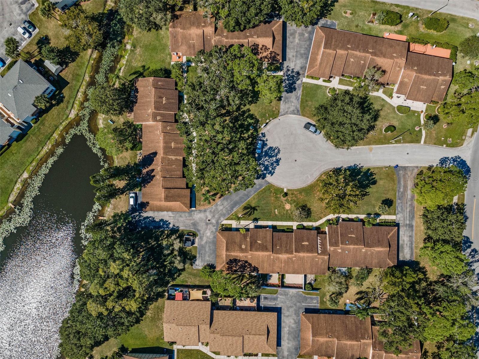 215 CORKWOOD LN, OLDSMAR, FL, 34677