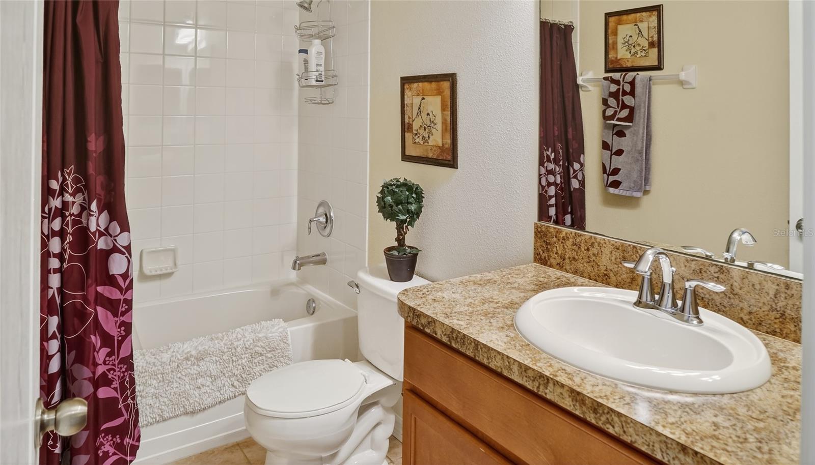 1055 SEMINOLE SKY DR, RUSKIN, FL, 33570