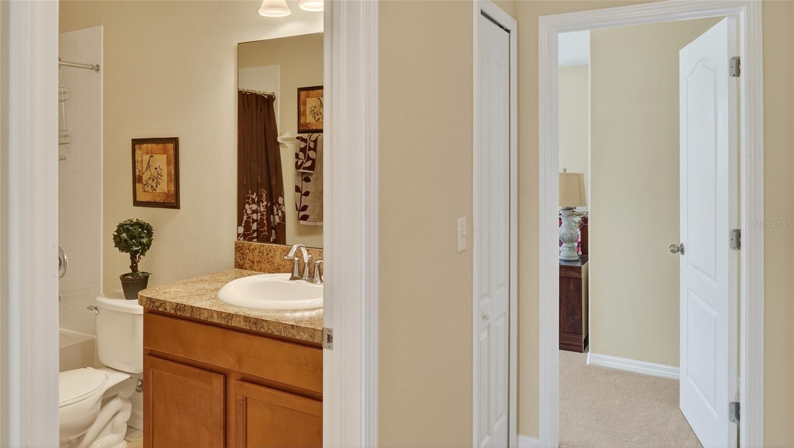 1055 SEMINOLE SKY DR, RUSKIN, FL, 33570